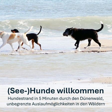 Paradies-Ambiente - Strandnah, Sauna, Kamin, Hundefreundlich Zinnowitz Buitenkant foto