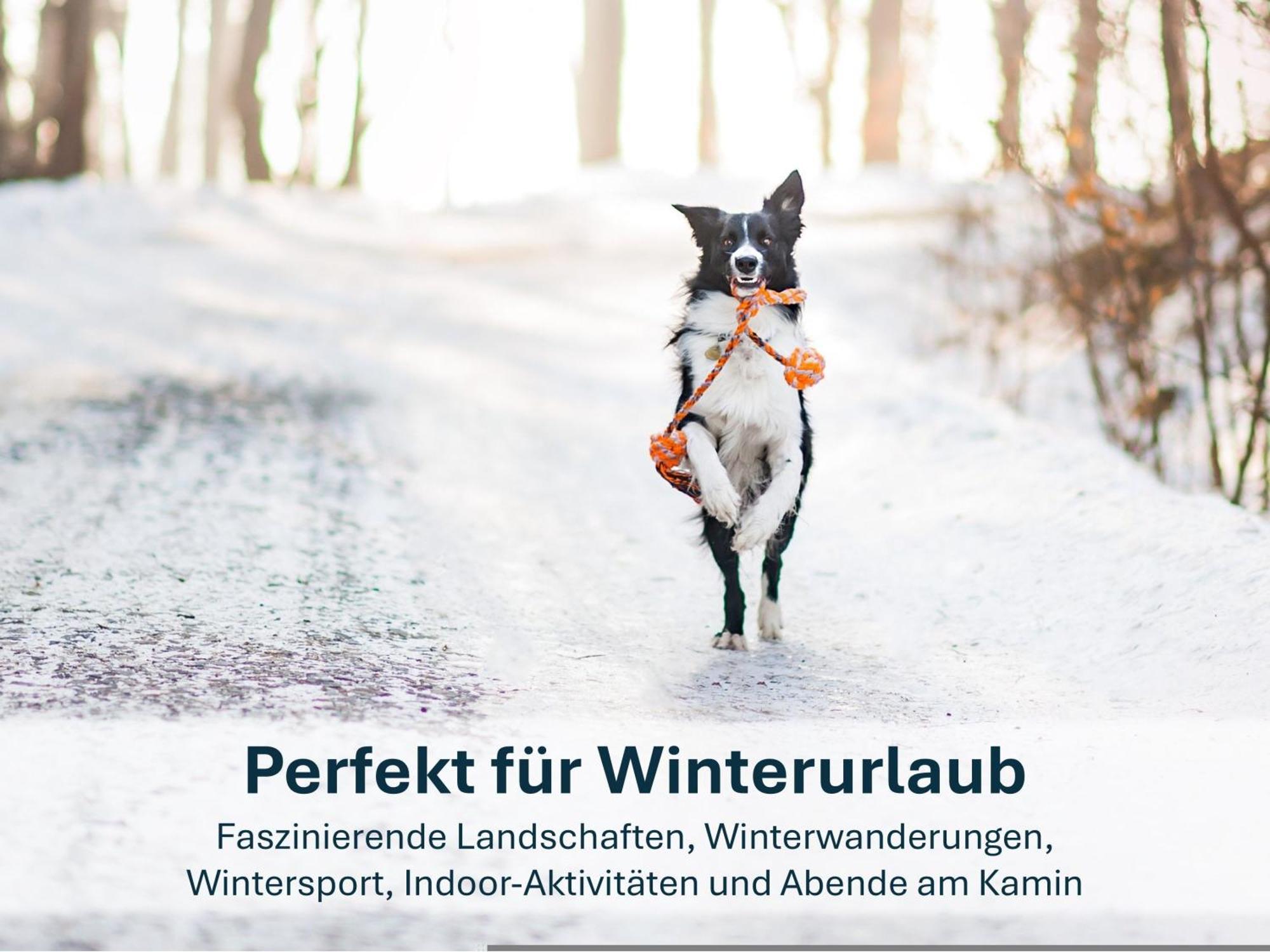 Paradies-Ambiente - Strandnah, Sauna, Kamin, Hundefreundlich Zinnowitz Buitenkant foto