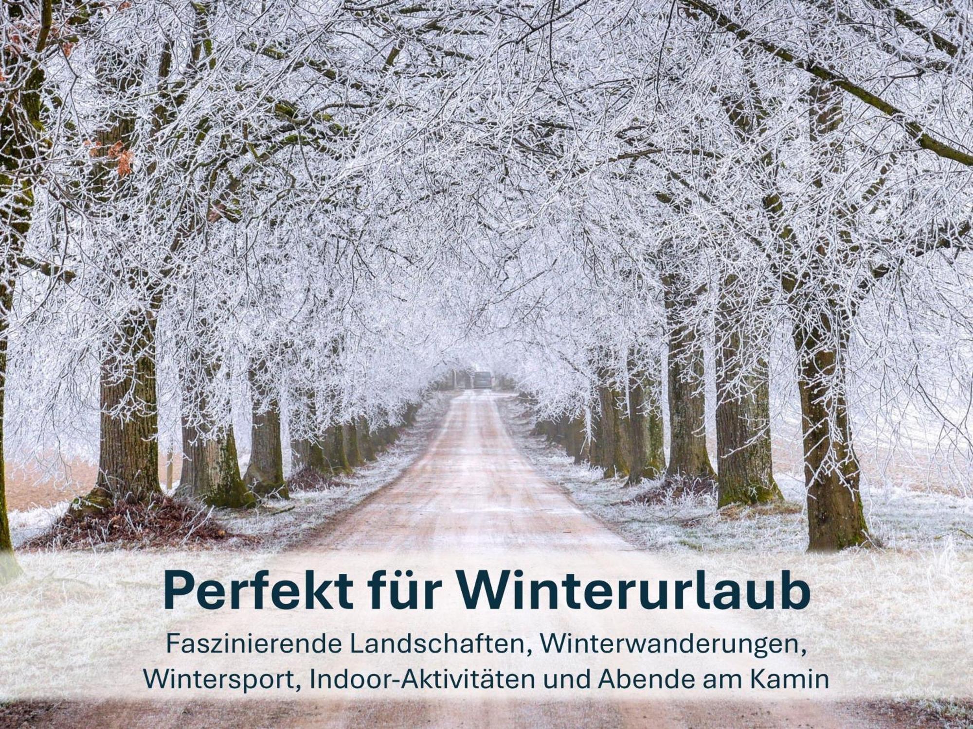 Paradies-Ambiente - Strandnah, Sauna, Kamin, Hundefreundlich Zinnowitz Buitenkant foto